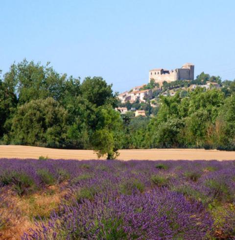 Апартаменты Le Provence Греу-ле-Бэн Экстерьер фото